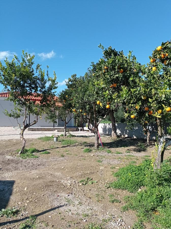 Willa Avocado House Finikounda Zewnętrze zdjęcie