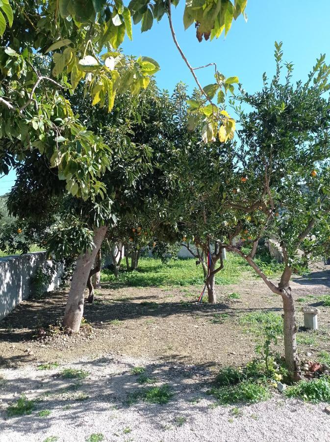 Willa Avocado House Finikounda Zewnętrze zdjęcie