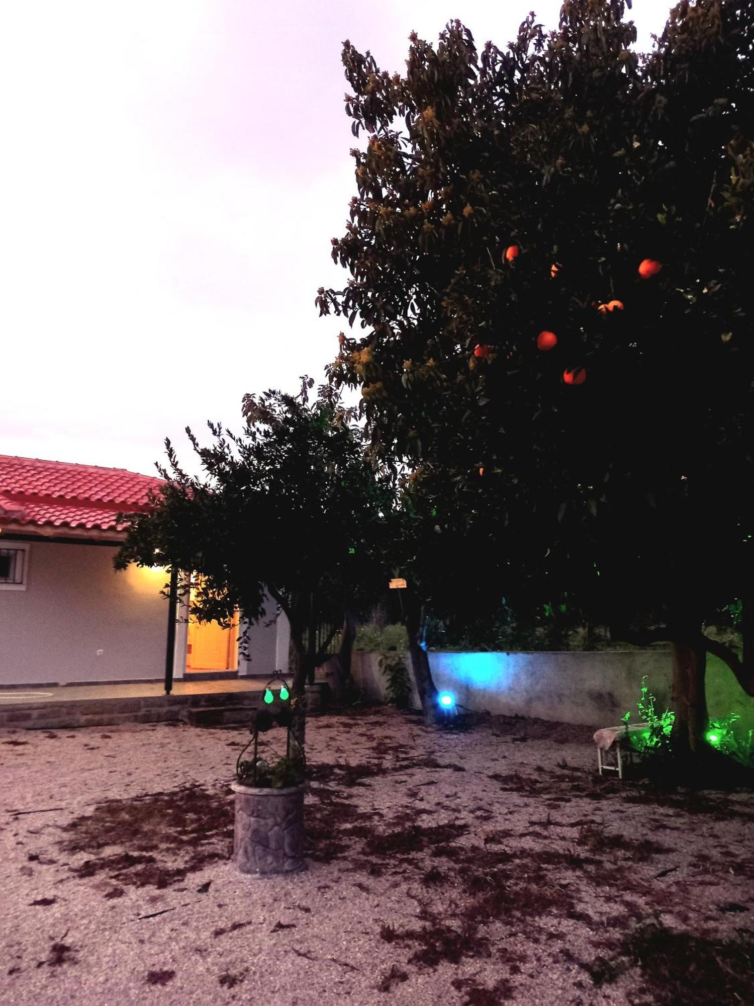 Willa Avocado House Finikounda Zewnętrze zdjęcie