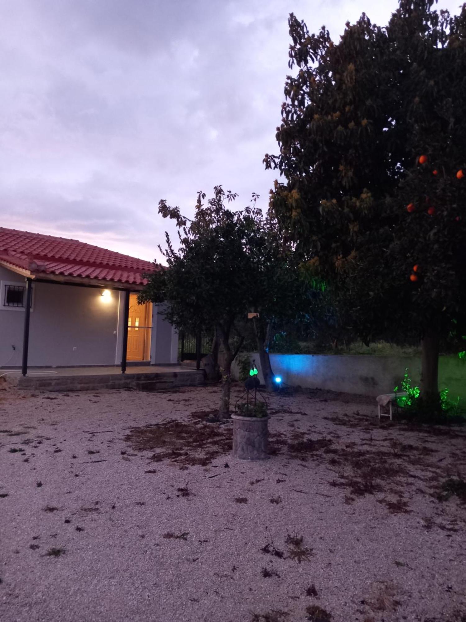 Willa Avocado House Finikounda Zewnętrze zdjęcie
